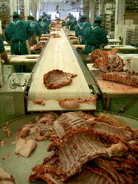 Cinta transportadora de carne