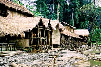 Poblado de elefantes en el norte, Tailandia