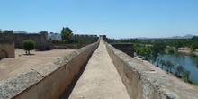 Puente romano de Mérida