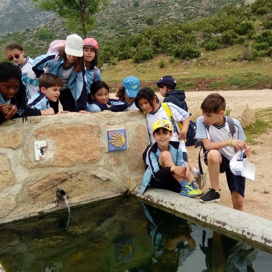 Camino de Santiago 28