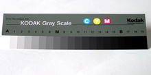 Escala de grises Kodak