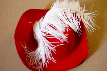 Sombrero con plumas