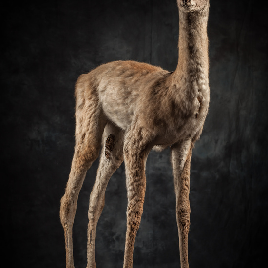 IES_SANISIDRO_BIOLOGIA_314