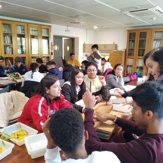 Instituto Nacional de Investigación y Tecnología Agraria 2019 (4ºESO) 6