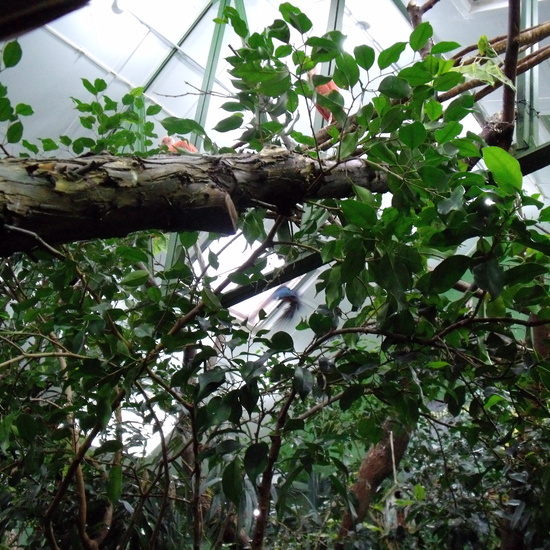 GRANJA DE LOS CUENTOS - ED.INFANTIL  36