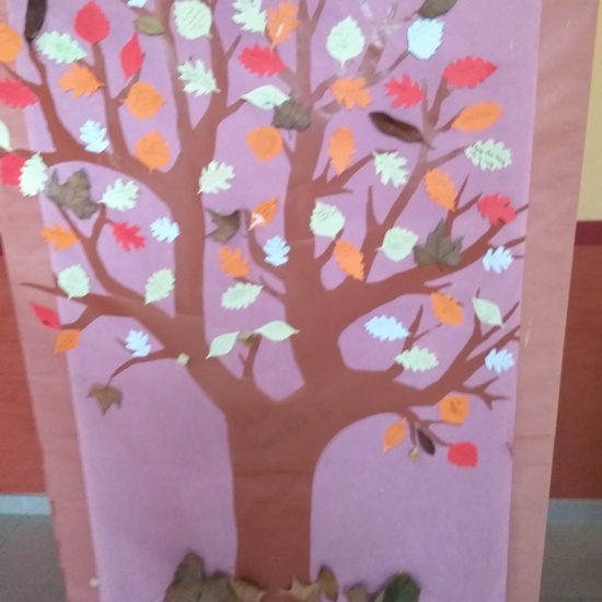 SEMANA DE PROYECTOS: VALLECAS 9