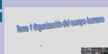 Tema 1 Organización del cuerpo humano (II)