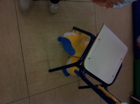 Los pulpos y los conceptos espaciales 8