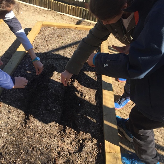 Quinto de Primaria_Taller de Huerto Escolar_CEIP Fernando de los Ríos_Las Rozas 9