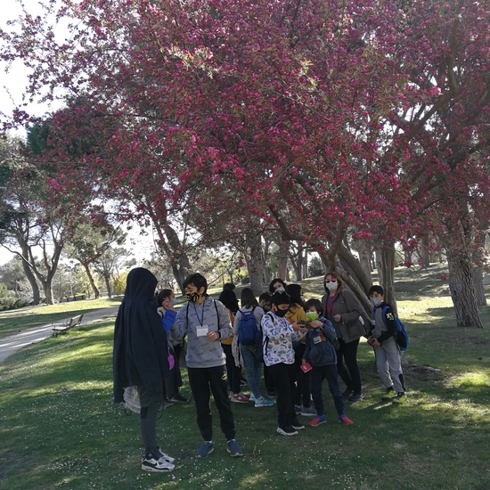 JORNADAS TEMÁTICAS 2021 