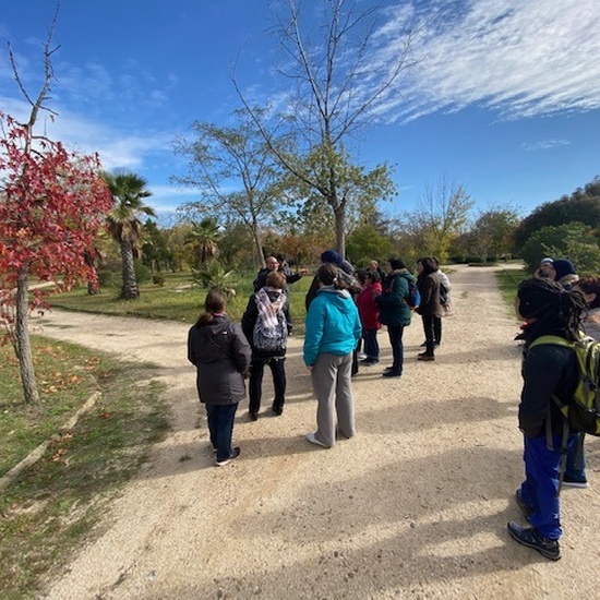 12/11/2019_Polvoranca 10