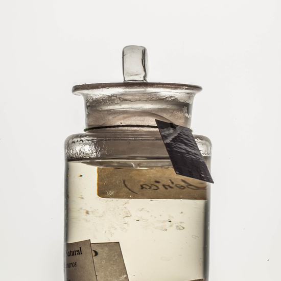 IES_CARDENALCISNEROS_CIENCIASNATURALES_211