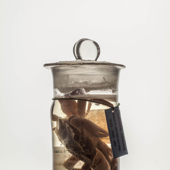 IES_CARDENALCISNEROS_CIENCIASNATURALES_084