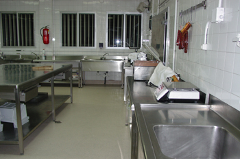 Vista general de zona de preelaboración