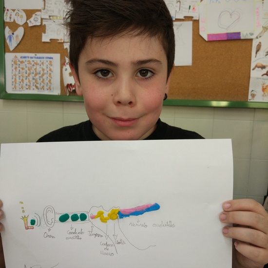 Día Internacional del Implante Coclear - ¿Cómo funciona un implante? 22