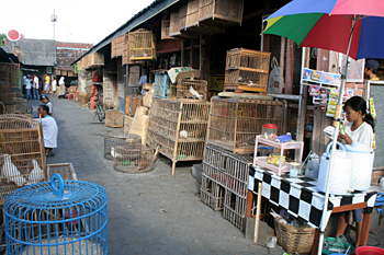 Mercado de pájaros, Jogyakarta, Indonesia