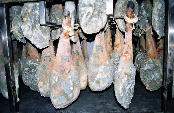 Jamón enmohecido