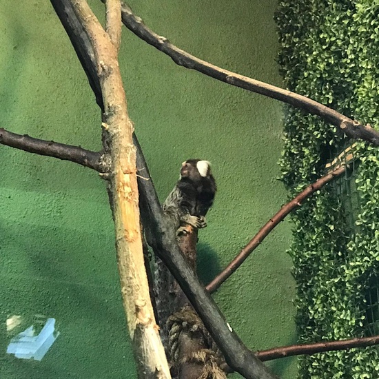 GRANJA DE LOS CUENTOS 25