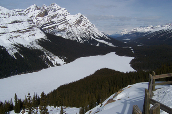 Lago Peyto, Parque Nacional Banff