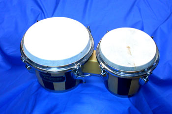 Bongó