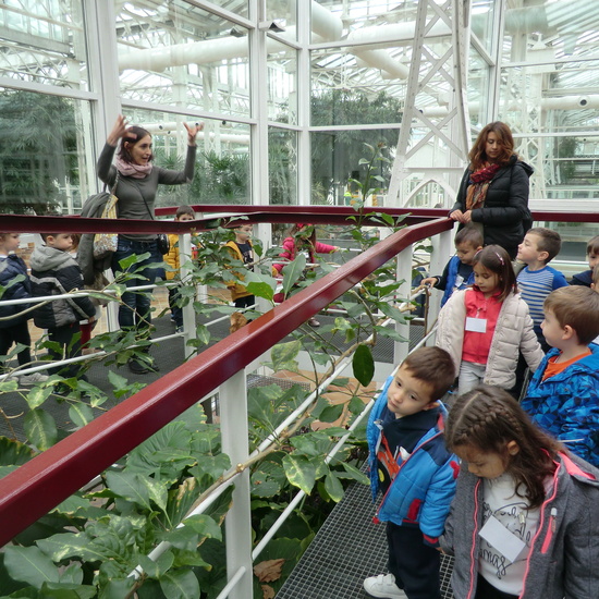 INVERNADERO DE ARGANZUELA 3