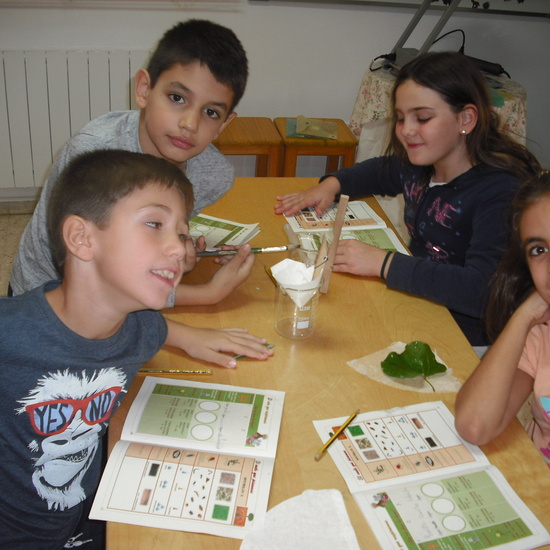 GRANJA TERCERA PARTE 2