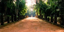 Avenida de tierra batida y estatuas, Angkor, Camboya