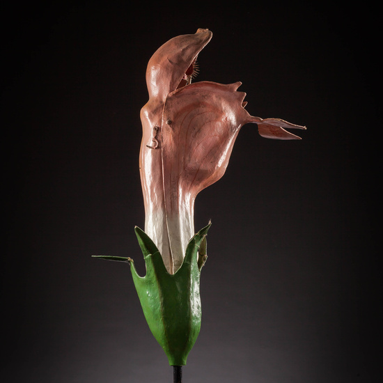 IES_SANISIDRO_MUSEO_Botanica_002