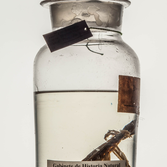 IES_CARDENALCISNEROS_CIENCIASNATURALES_053