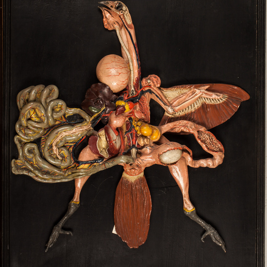 IES_SANISIDRO_BIOLOGIA_342