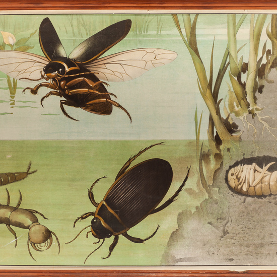 IES_RAMIRODEMAEZTU_BIOLOGIA_058