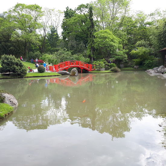 Viaje Toulouse 2018 5