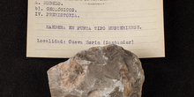 IES_SANISIDRO_MUSEO_Paleologia_002