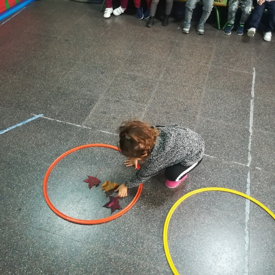 Día 05 de noviembre 22