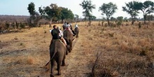 Travesía en Elefante, Zimbabwe