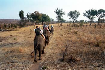 Travesía en Elefante, Zimbabwe