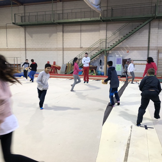 Gimnasia de trampolín 12