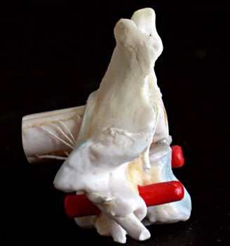 Estructura de Vértebra