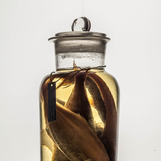 IES_CARDENALCISNEROS_CIENCIASNATURALES_192