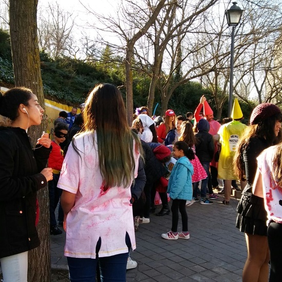 DESFILE CARNAVAL LATINA 9