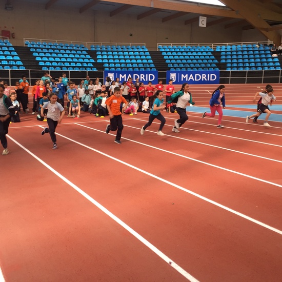 MINIOLIMPIADAS. 4º CURSO 23