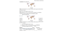 LAS ZONAS BIOCLIMÁTICAS