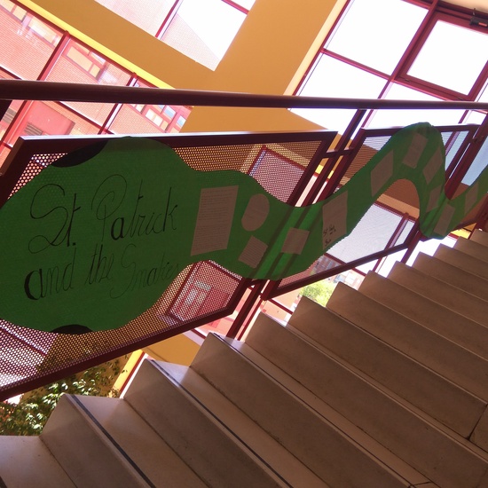 SEMANA DE PROYECTOS IRLANDA 14