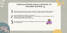 Instrucciones Tarea 5