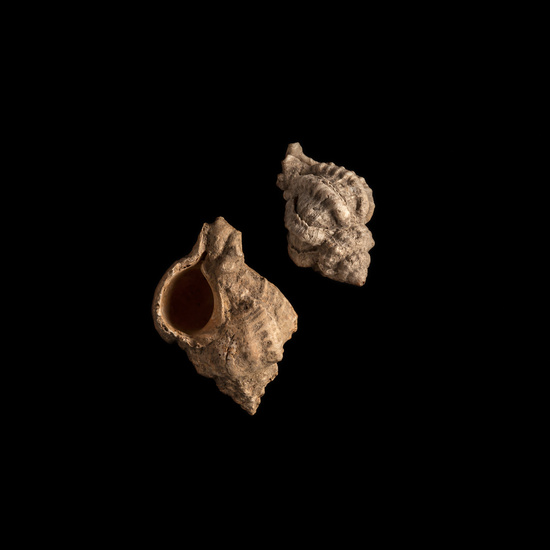 IES_CERVANTES_GEOLOGIA_030