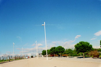 Farolas en un parque