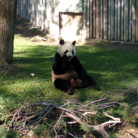 Visita al zoo 2019 34