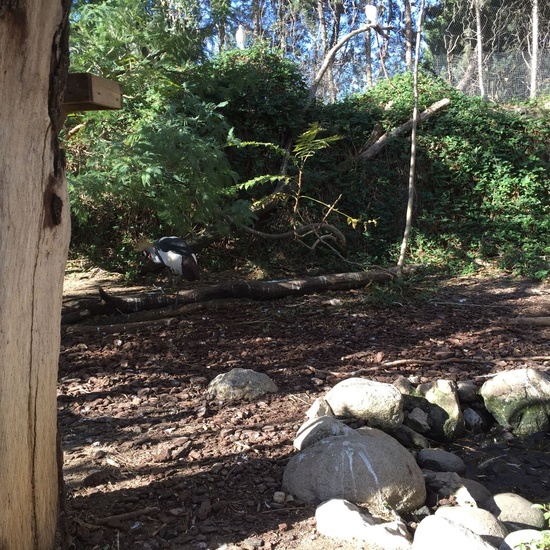 Faunia: taller y visita guiada 12