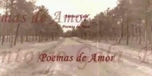 POEMAS DE AMOR