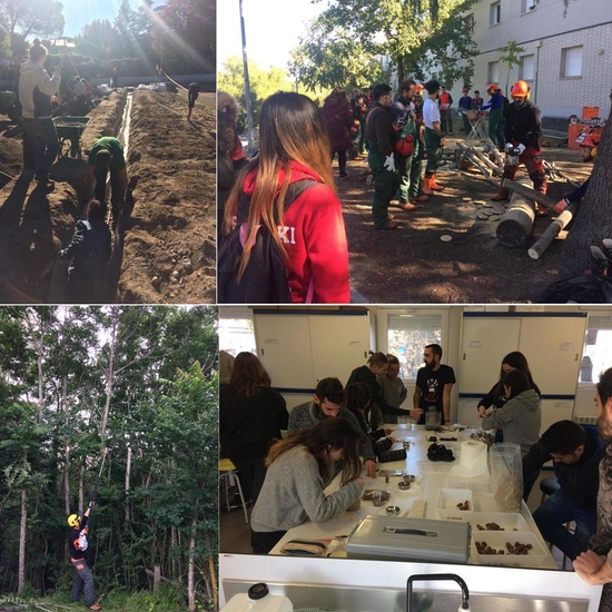 Carrusel fotos web 3